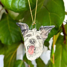 Load image into Gallery viewer, Custom Pet Portraits - Ornaments