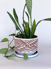 Load image into Gallery viewer, Alabaster Zulu Planters - Brown Clay
