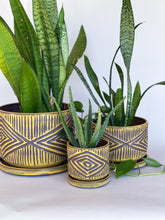 Load image into Gallery viewer, Turmeric Zulu Planters - Brown Clay