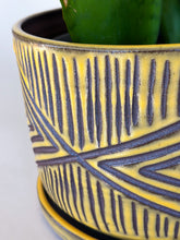 Load image into Gallery viewer, Turmeric Zulu Planters - Brown Clay