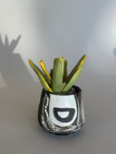 Load image into Gallery viewer, SampleHAUS Littles: Phoenix Rising