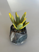 Load image into Gallery viewer, SampleHAUS Littles: Phoenix Rising