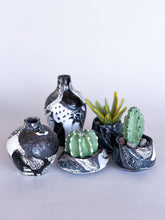 Load image into Gallery viewer, SampleHAUS Littles: Phoenix Rising