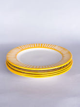 Load image into Gallery viewer, Turmeric Plates - Same Size
