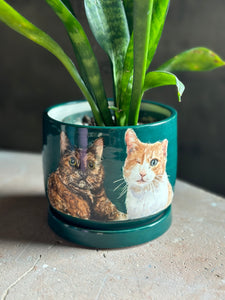 Custom Pet Portraits - Planter