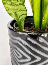 Load image into Gallery viewer, Small Zulu Planter - Glossy Onyx (flawed)
