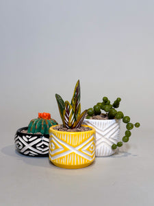 SampleHAUS Littles: Porcelain Planters