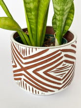 Load image into Gallery viewer, 4" Alabaster Zulu Planter - No Plate
