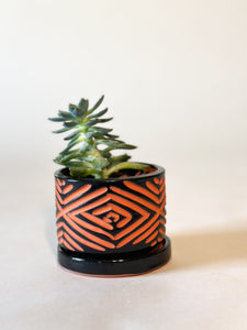 Zulu Terra Cotta Planters - Onyx