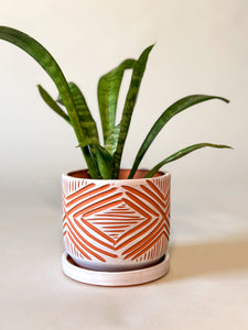 Zulu Terra Cotta Planters - Alabaster