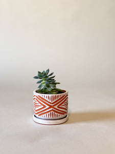 Zulu Terra Cotta Planters - Alabaster