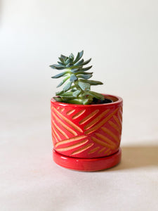 Zulu Terra Cotta Planters - Red