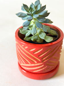 Zulu Terra Cotta Planters - Red