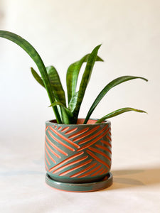 Zulu Terra Cotta Planters - Teal