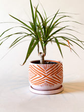 Load image into Gallery viewer, Small Glazed Alabaster Planter w/ Drainage - Terra Cotta
