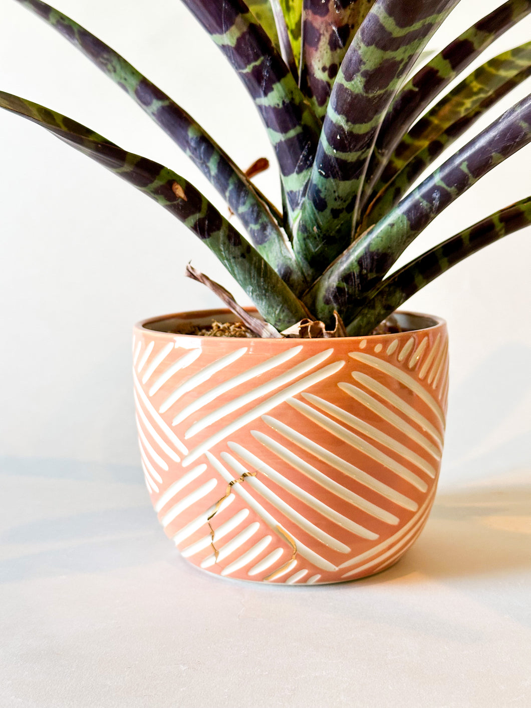 Medium Cachepot Planter - Blush