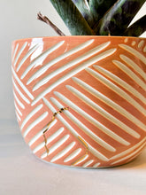 Load image into Gallery viewer, Medium Cachepot Planter - Blush
