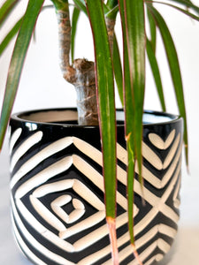 Glossy Black Zulu Cachepot Planter - Saharan Shade