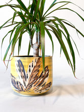 Load image into Gallery viewer, Marbled Yellow TropiCali Cachepot Planter
