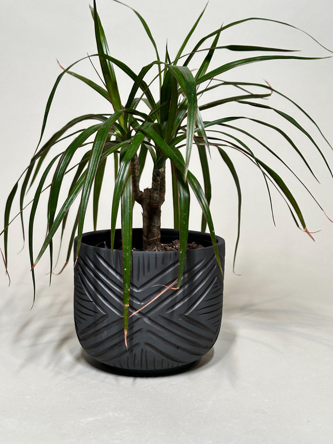 Black Zulu Cachepot Planter - Burkinese Cross