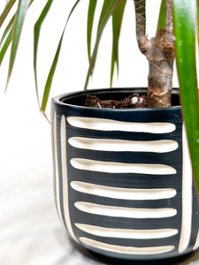 Satin Black Zulu Cachepot Planter - Ciaro Connection