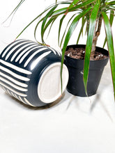 Load image into Gallery viewer, Satin Black Zulu Cachepot Planter - Ciaro Connection
