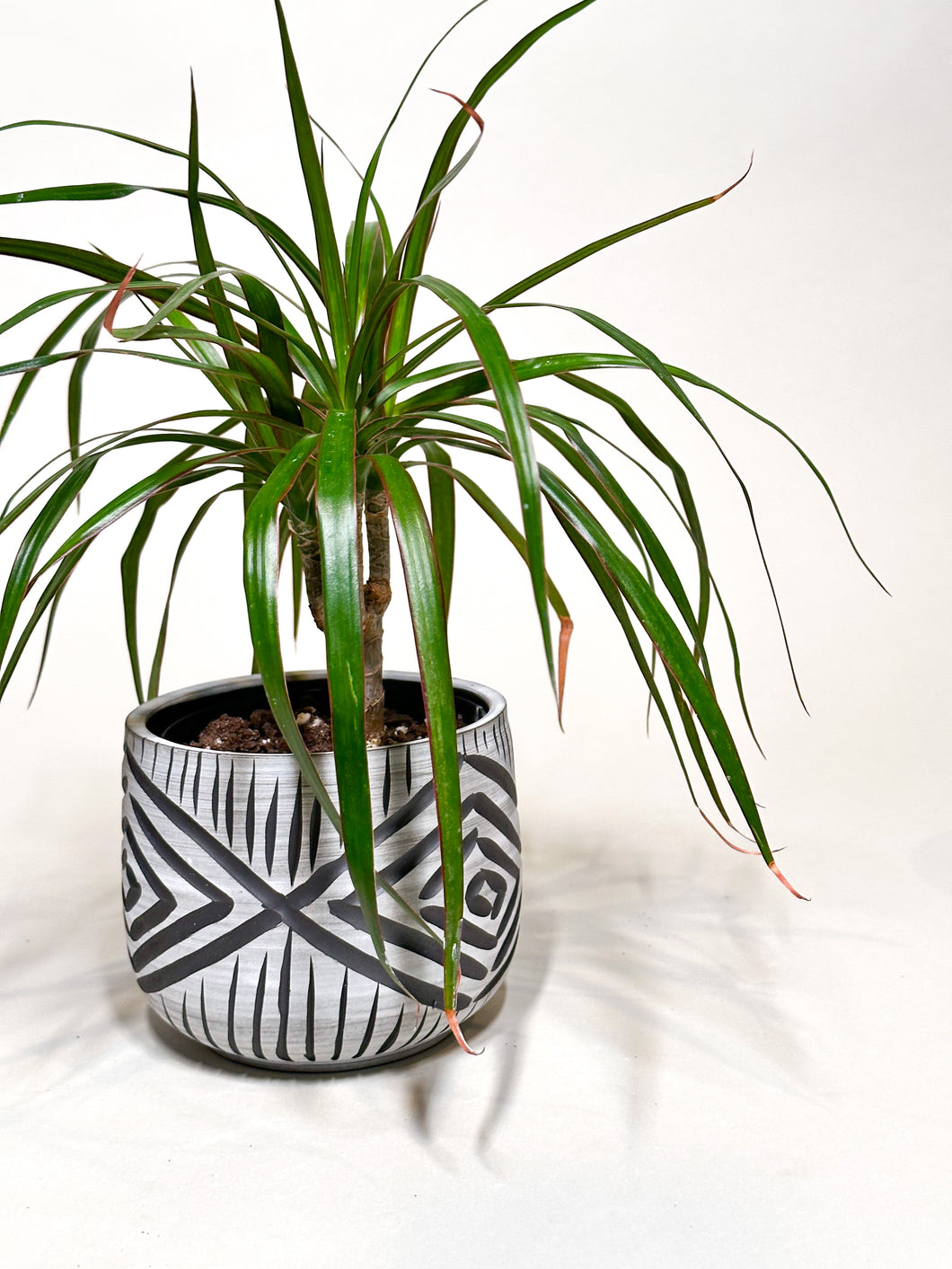 Alabaster Zulu Cachepot Planter - Nigerian Gateway