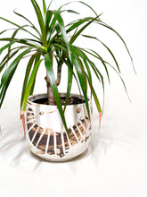 Load image into Gallery viewer, Splash Cachepot Planter with slip- White Clay

