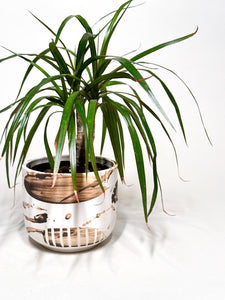 Splash Cachepot Planter with slip- White Clay