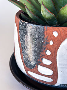 Large DesertScape Planter with Crackle - Brown Clay