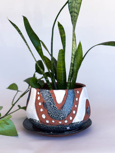 Medium DesertScape Planter with Crackle - Brown Clay