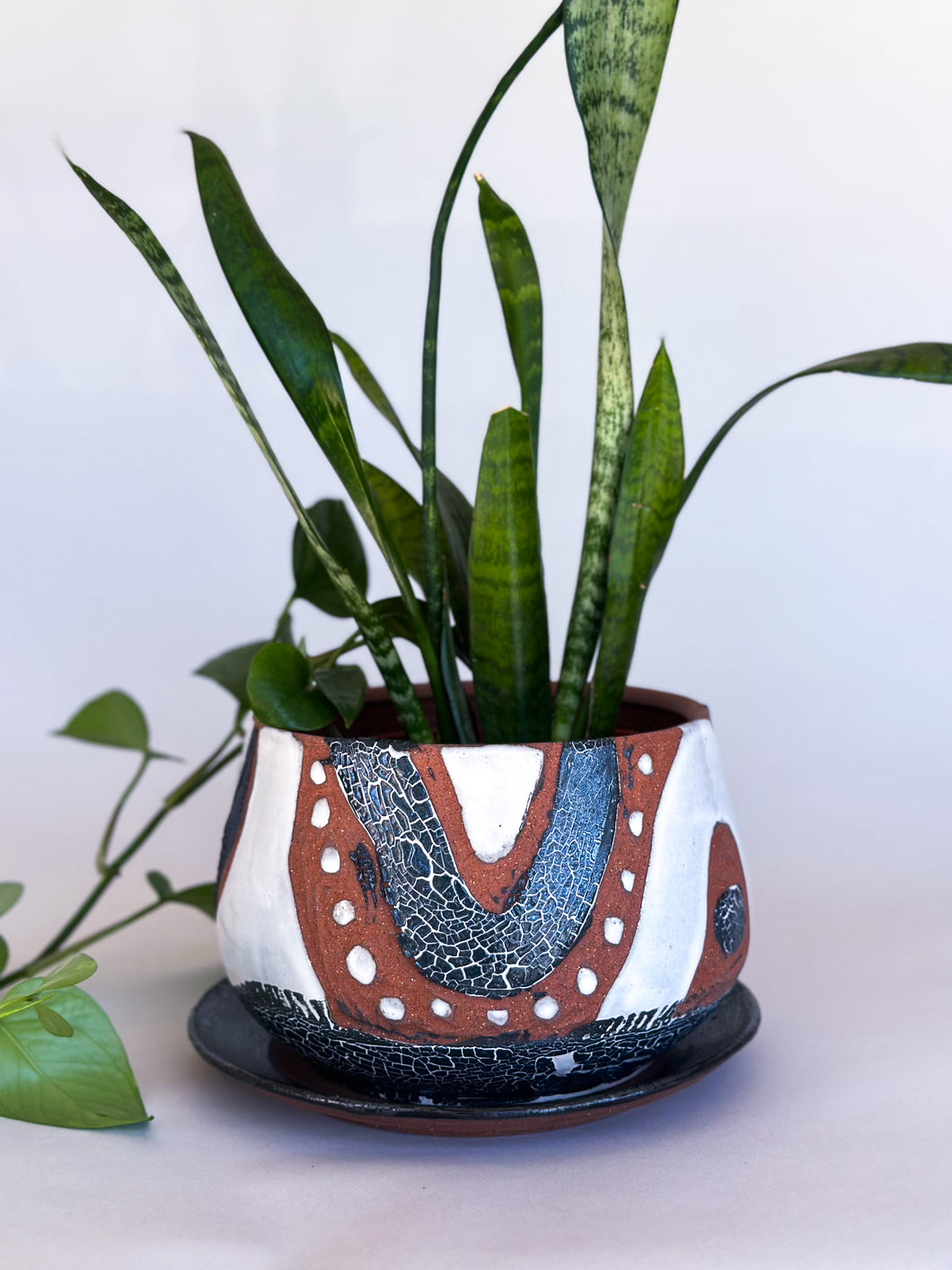 Medium DesertScape Planter with Crackle - Brown Clay