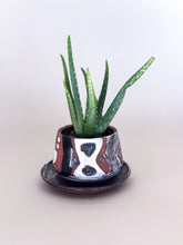 Load image into Gallery viewer, Small DesertScape Planter With Crackle- Brown Clay
