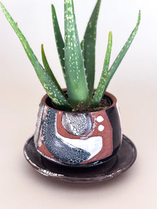 Small DesertScape Planter With Crackle- Brown Clay