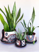Load image into Gallery viewer, Medium DesertScape Planter with Crackle - Brown Clay

