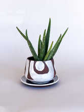 Load image into Gallery viewer, Small White DesertScape Planter - Has Crack
