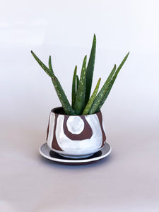 Small White DesertScape Planter - Has Crack