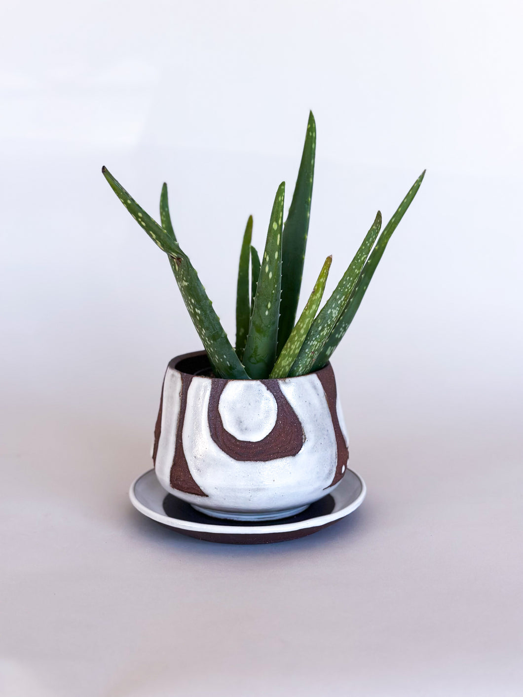 Small White DesertScape Planter - Has Crack
