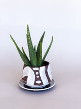 Load image into Gallery viewer, Small White DesertScape Planter - Has Crack
