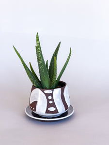 Small White DesertScape Planter - Has Crack