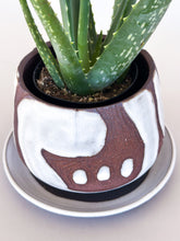 Load image into Gallery viewer, Small White DesertScape Planter - Has Crack
