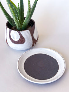 Small White DesertScape Planter - Has Crack