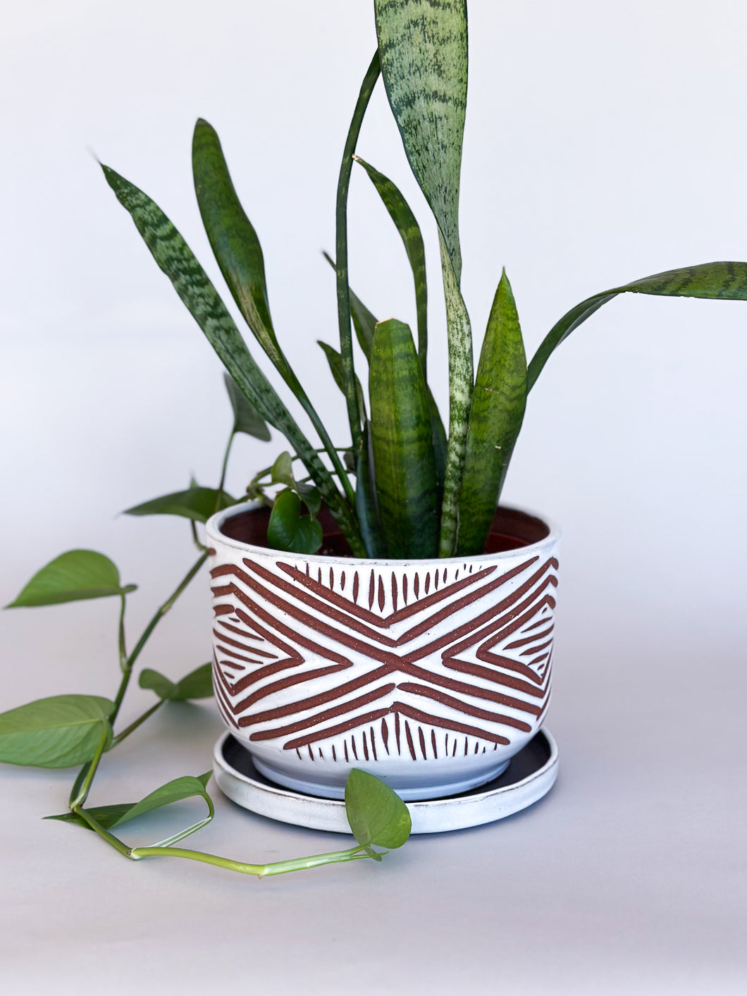 Alabaster Zulu Planters - Brown Clay