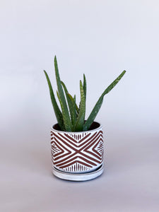 Alabaster Zulu Planters - Brown Clay