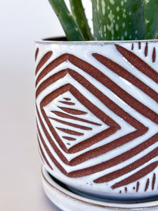 Alabaster Zulu Planters - Brown Clay