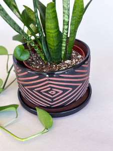 Onyx Zulu Planters - Brown Clay
