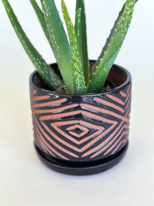 Onyx Zulu Planters - Brown Clay