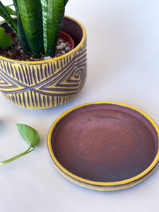Turmeric Zulu Planters - Brown Clay