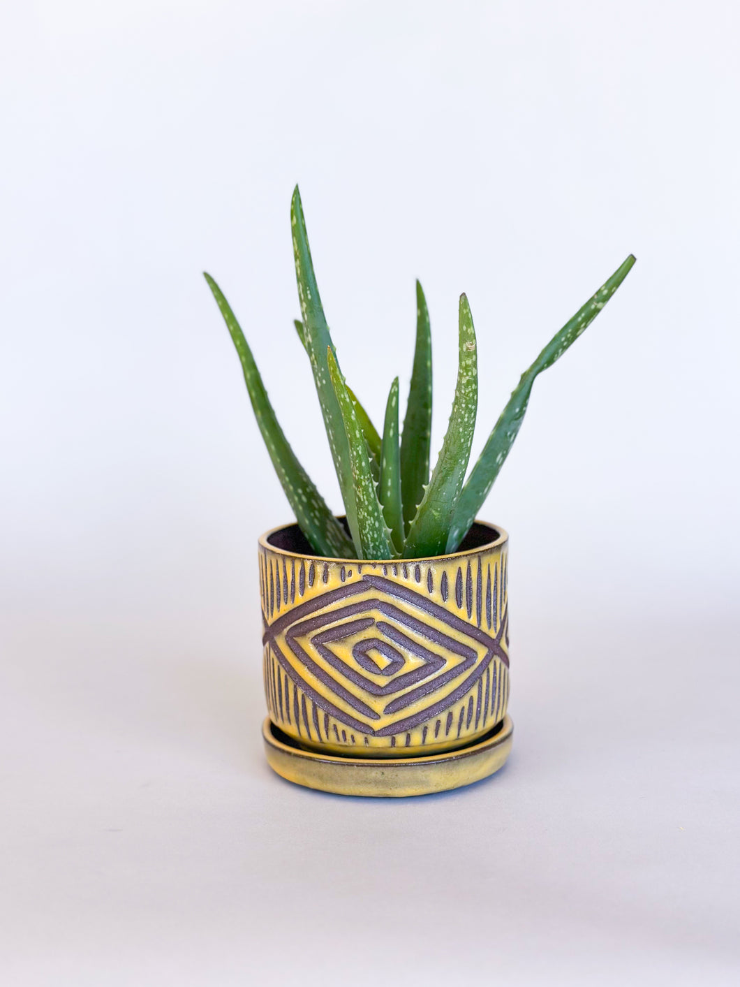 Turmeric Zulu Planters - Brown Clay