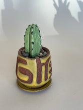 Load image into Gallery viewer, SampleHAUS Littles: DesertScapes
